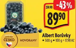 Albert Albert Borůvky nabídka