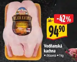 Albert Vodňanská kachna nabídka