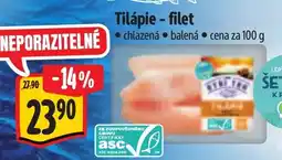 Albert Tilápie - filet nabídka