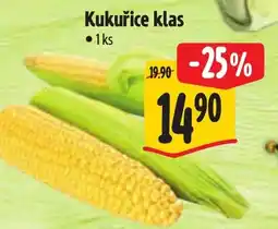 Albert Kukuřice klas nabídka