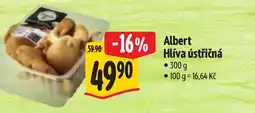 Albert Albert Hlíva ústřičná nabídka