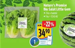 Albert Nature's Promise Bio Salát Little Gem nabídka