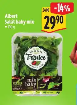 Albert Salát baby mix nabídka