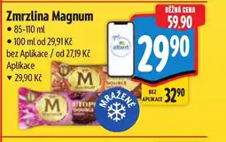 Albert Zmrzlina Magnum nabídka