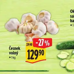 Albert Česnek volný nabídka