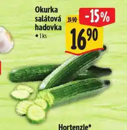 Albert Okurka salátová hadovka nabídka