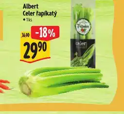 Albert Celer řapíkatý nabídka