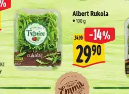 Albert Rukola nabídka