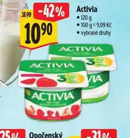 Albert Activia nabídka