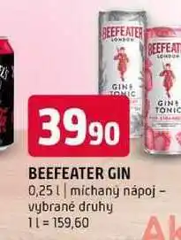 Terno BEEFEATER GIN 0,25l míchaný nápoj vybrané druhy nabídka