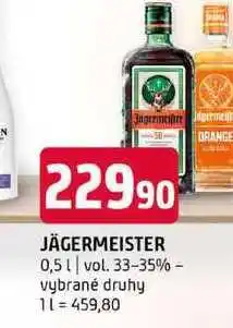 Terno JÄGERMEISTER 0,5l vol. 33-35% vybrané druhy nabídka