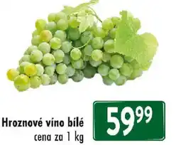 Qanto Hroznové víno bílé nabídka
