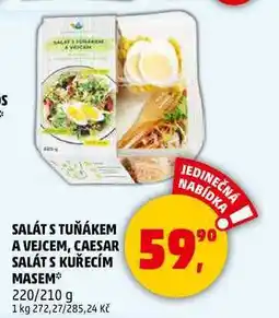 Penny Market SALÁT S TUŇÁKEM A VEJCEM, CAESAR SALÁT S KUŘECÍM MASEM, 220/210 g nabídka
