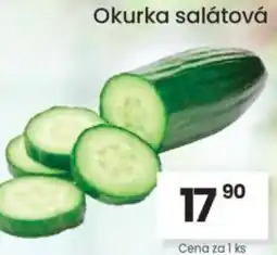 Kubík potraviny Okurka salátová nabídka