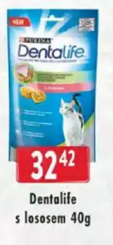 Astur&Qanto Dentalife s lososem nabídka