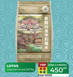 Tamda Foods LOTUS rýže jasmínová 9,07kg nabídka