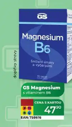 Tamda Foods GS Magnesium s vitaminem B6 nabídka