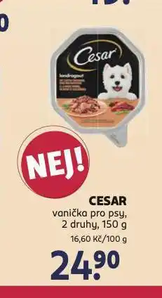 Rossmann Cesar vanička pro psy nabídka