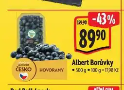 Albert Borůvky nabídka