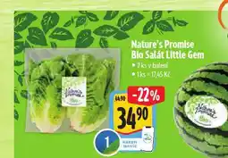 Albert Bio salát little gem nabídka