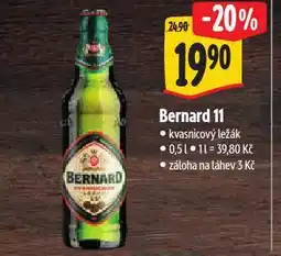 Albert Pivo bernard nabídka