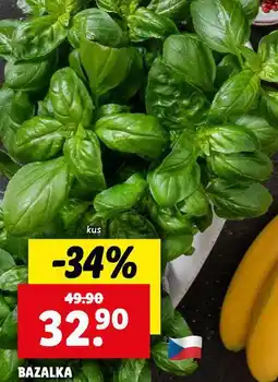 Lidl Bazalka nabídka