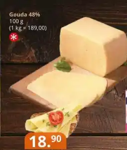 Potraviny CZ Gouda 48% nabídka