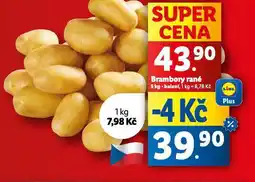 Lidl Brambory rané nabídka