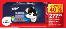Lidl Felix fantastic kapsičky pro kočky nabídka