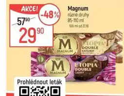 Globus MAGNUM nabídka