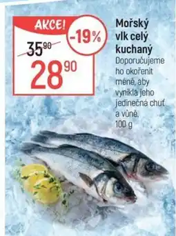 Globus Mořský vlk celý kuchaný nabídka