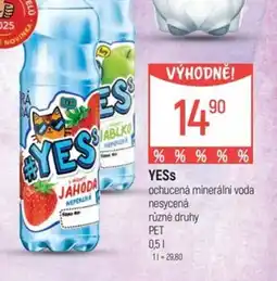 Globus YESS nabídka