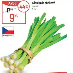 Globus Cibulka lahůdková nabídka