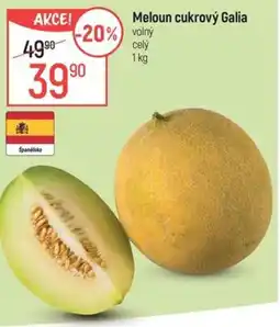 Globus Meloun cukrový Galia nabídka