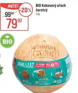 Globus BIO Kokosový ořech čerstvý nabídka