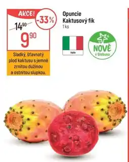 Globus Opuncie Kaktusový fík nabídka