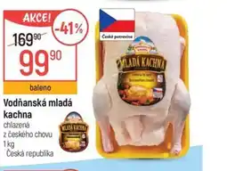 Globus Vodňanská mladá kachna nabídka