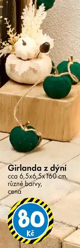 TEDi Girlanda z dýní nabídka
