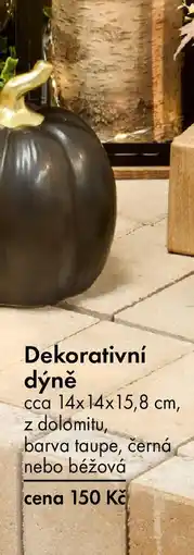 TEDi Dekorativní dýně nabídka