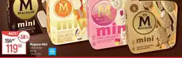 Globus MAGNUM Mini nabídka