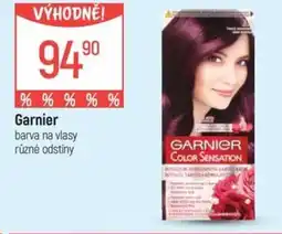Globus GARNIER barva na vlasy nabídka