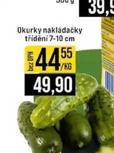 Jip Okurky nakládačky třídění 7-10 cm nabídka