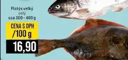 Jip Platys velký celý cca 300-400 g 100g nabídka