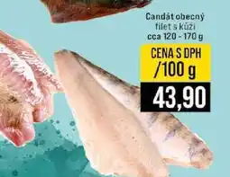 Jip Candát obecný filet s kůží cca 120-170 g 100g nabídka