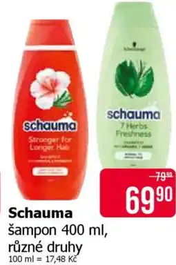 Teta Schauma šampon nabídka