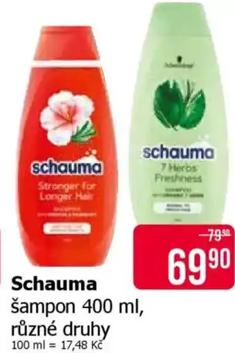Teta Schauma šampon nabídka