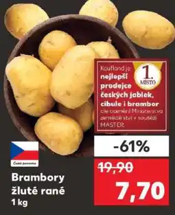 Kaufland Brambory žluté rané nabídka