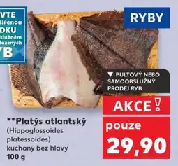 Kaufland Platýs atlantský nabídka
