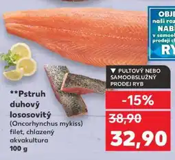 Kaufland PSTRUH DUHOVÝ LOSOSOVITÝ nabídka