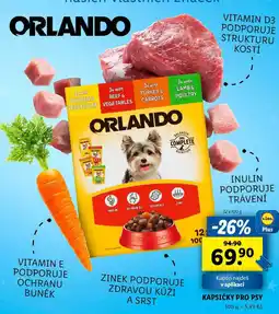 Lidl KAPSIČKY PRO PSY, 12x 100 g nabídka